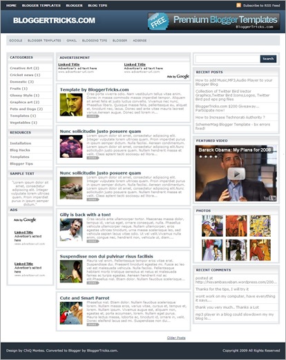schemer-mag-template
